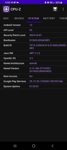 Screenshot_20250420_163013_CPU-Z